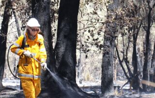 firefighters-probe-yet-another-fire-in-kings-park-as-bushland-devastation-revealed-in-stark-images