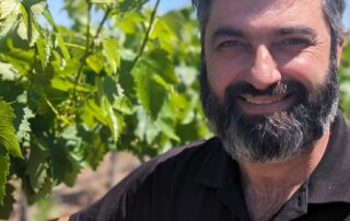 why-australian-grape-growers-are-ditching-shiraz-and-cab-sav-for-‘trendier’-varieties