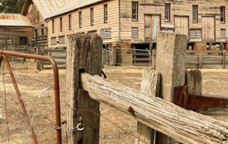 36-buildings,-an-affair,-and-the-birthplace-of-kelpies-all-front-of-mind-during-180-year-old-homestead’s-restoration
