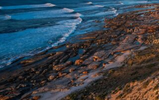 search-continues-for-surfer-after-suspected-fatal-shark-attack-on-south-australia’s-west-coast