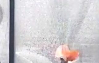 staff-capture-moment-man-smashes-office-windows-with-hammer