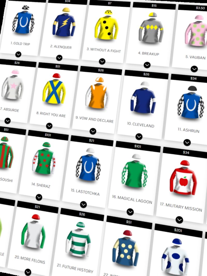 The 2023 Melbourne Cup field has been decided. Here's your guide to the