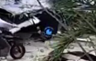 ‘absolute-destruction’:-cctv-captures-moment-of-fatal-sydney-car-crash,-police-searching-for-driver
