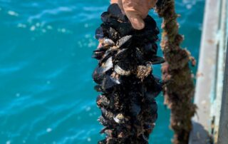 fishers-confident-of-expansion-under-aquaculture-zone-changes