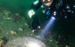 divers-uncovering-secrets-of-australia’s-megafauna-past-concealed-deep-in-underwater-caves