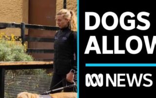 guide-and-assistance-dogs-to-be-allowed-into-adelaide-zoo