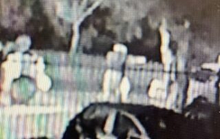 shot-fired-during-melbourne-carjack-attempt,-police-release-cctv-of-incident