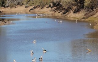 inquiry-seeks-tighter-leash-on-state-run-projects-for-basin-plan-bill