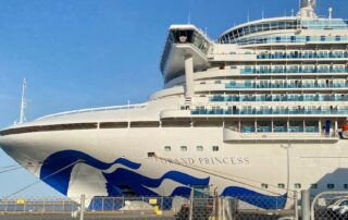 ‘vomit-smells-everywhere’:-cruise-ship’s-covid,-gastro-outbreaks-declared-over-as-passengers-disembark-in-adelaide