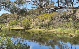 green-energy-giant-gifts-‘hidden-gem’-for-national-park-as-transition-worries-pile-up