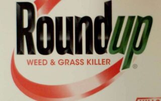 europe-approves-use-of-controversial-weedkiller-glyphosate-for-another-decade