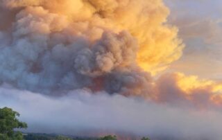 cherry-gardens-victims-tell-of-terror-amid-‘tsunami-of-fire’-deliberately-lit-by-ex-cfs-volunteer