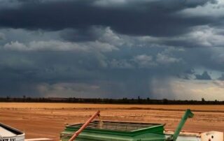 heavy-rains-mean-black-summer-repeat-unlikely-as-wa-swelters-through-hottest-november