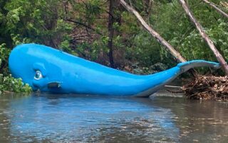 whale-sculpture-floats-away-as-iconic-adelaide-christmas-display-hit-by-storms