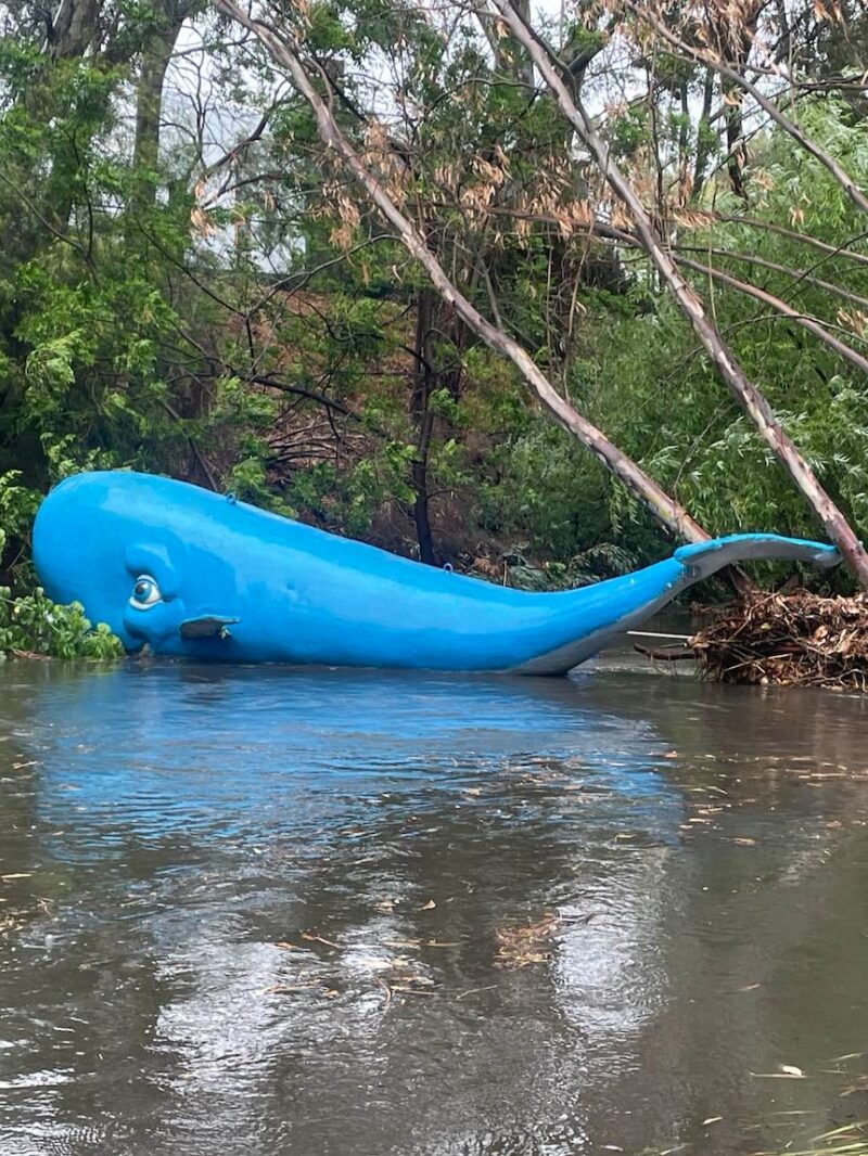 Whale sculpture floats away as iconic Adelaide Christmas display hit by ...