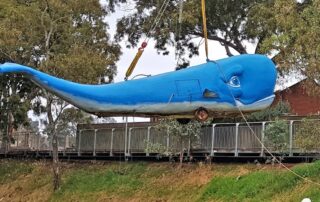 moby-dick-sculpture-freed-after-floating-down-the-river-in-adelaide-storm,-as-clean-up-continues