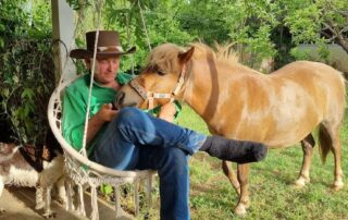cheeto-the-shetland-pony-found-‘having-a-lovely-time’-after-going-missing-for-three-days