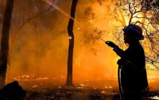 what-does-the-bushfire-and-summer-outlook-look-like-for-you?