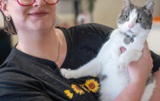 south-australia-has-passed-legislation-with-stronger-renters’-rights.-what-do-the-changes-mean-for-you?