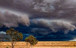 this-year’s-el-nino-is-‘really-confusing-a-lot-of-climate-scientists’,-following-heavy-november-rain