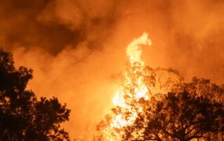 more-than-300-fires-deliberately-lit-in-wa-over-past-two-months
