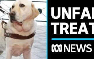 renewed-calls-for-equality-for-guide-dog-users