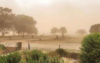 live-moment:-firefighters,-water-bombers-respond-to-multiple-fires-in-sa-as-temperatures-surpass-40-degrees