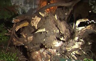 some-south-australian-regions-on-flood-watch-amid-heavy-rain-forecast