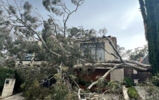 thousands-of-homes-and-businesses-without-power-after-wild-storm-lashes-sa