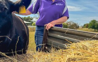 farmers-‘never-been-busier’-with-paddock-to-plate-christmas-orders
