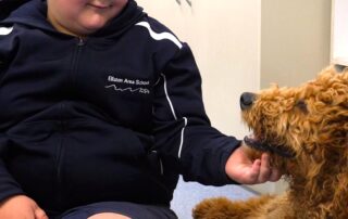 a-groodle-named-haze-helps-heal-the-collective-heart-of-a-tiny-rural-school-beset-by-trauma-and-loss