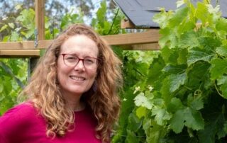 first,-it-was-sheep-under-solar-panels.-now,-it’s-grapes