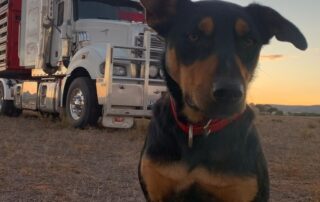 sa-grain-growers-go-christmas-shopping-and-have-family-holidays-after-early-harvest-finish