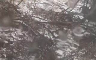 coldest-christmas-day-in-adelaide-in-17-years-as-the-rest-of-sa-had-below-average-temperatures