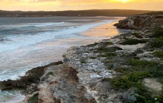 person-‘seriously-injured’-in-shark-attack-off-coast-of-yorke-peninsula,-police-say