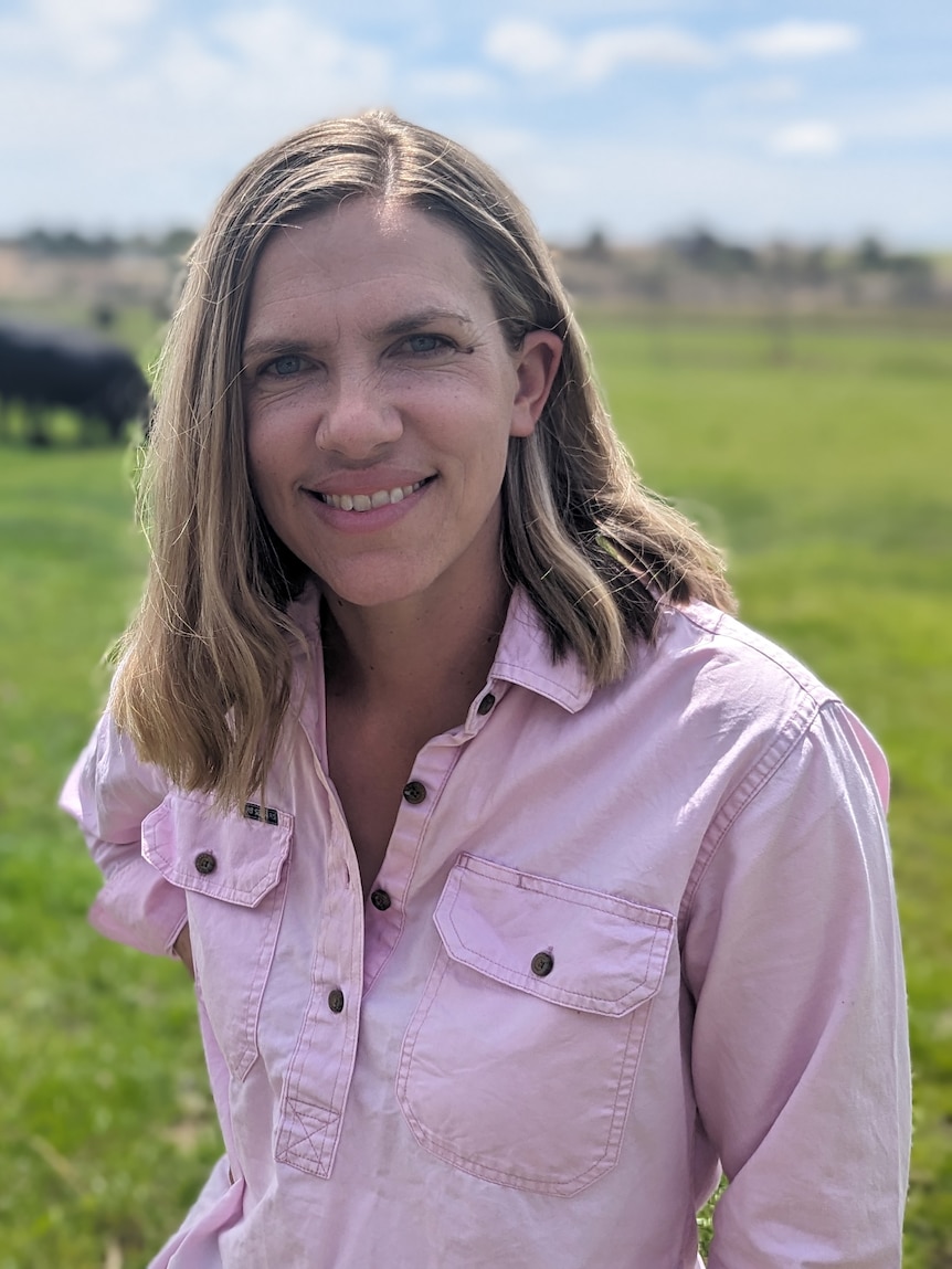 'I'm trying to push mothering ewes through': Flood plain farmers ...