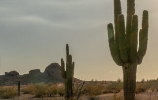 take-a-look-at-2023’s-record-breaking-temperatures-in-graphs-and-photos