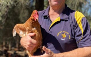 egg-farmer-warns-rising-production-costs-will-force-another-price-hike-in-supermarkets