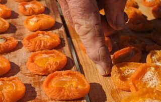 wet-summer-threatens-to-create-a-shortage-of-australian-grown-dried-fruit