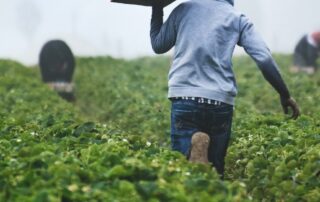 workers-to-be-repaid-$4m,-taxpayers-to-lose-$12m-after-labour-hire-firm-saved-from-collapse