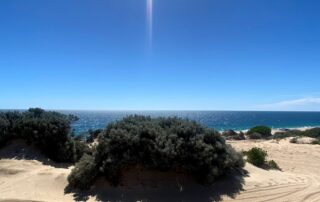 teenagers-charged-with-allegedly-abducting-three-kids,-abandoning-them-on-remote-beach-at-night