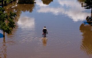 five-hot-environmental-issues-to-watch-out-for-in-2024-from-greenwashing-to-turbulence-over-turbines