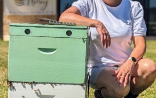 mysterious-bee-deaths-prompt-beekeepers-to-get-answers-about-the-impact-of-fruit-fly-chemical-sprays