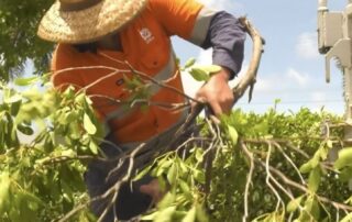 man-charged-with-assaulting-worker-during-cyclone-kirrily-clean-up