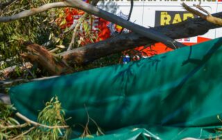 tree-that-killed-22yo-woman-in-adelaide-parklands-‘snapped-at-base’,-mfs-says