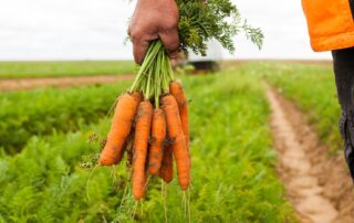 rise-in-extreme-weather-events-putting-huge-strain-on-food-charities-helping-struggling-families