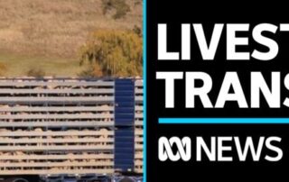 calls-for-more-protection-for-livestock-transported-in-trucks