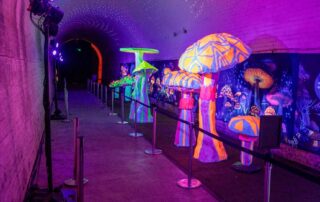 hidden-tunnel-from-adelaide’s-past-to-open-to-public-in-upcoming-festival