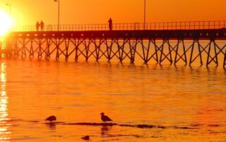 ceduna-is-the-jewel-of-the-nullarbor-but-residents-fear-crime-is-tarnishing-its-reputation