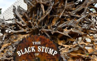 how-a-six-tonne-‘black-stump’-has-become-a-small-town’s-biggest-tourist-attraction